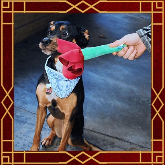 NWT Bark Box Toy - Picture 2 of 8